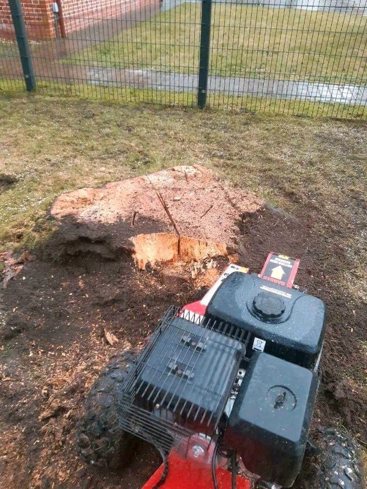 Baum Stubben Fräse Wurzel mieten in Ladelund – Grün für die Location