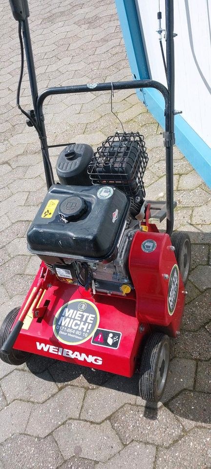 Profi Vertikutierer Moss Entfernung mieten in Ladelund – 3