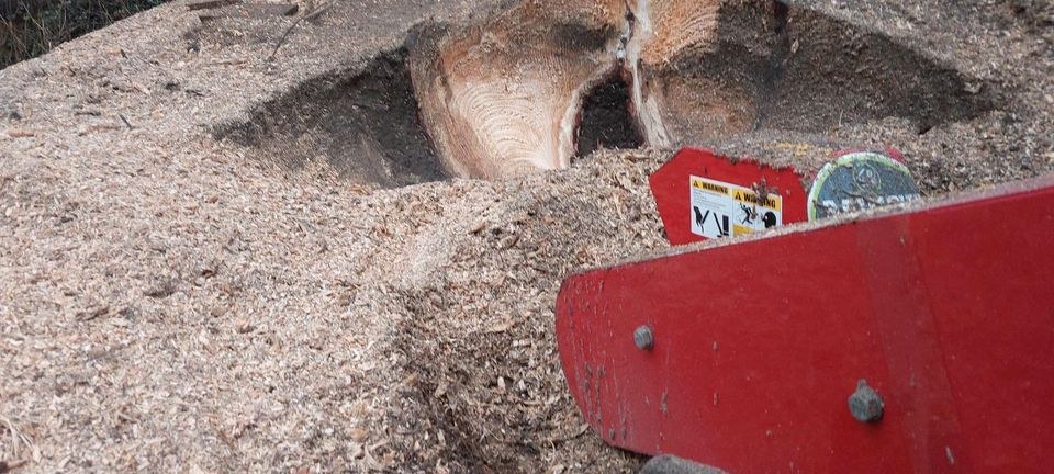 Baum Stubben Fräse Wurzel mieten in Ladelund – Grün für die Location – 2