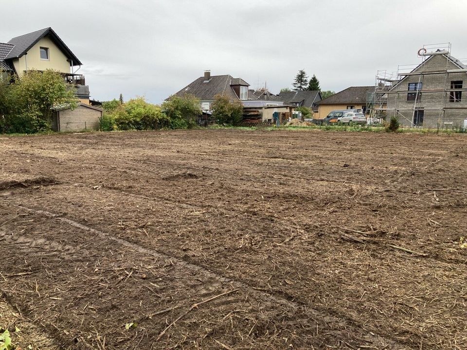 Forstmulcher Flächenrodung als Dienstleistung mieten in Wrestedt – 2