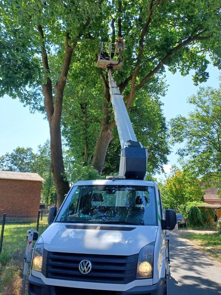 Hubsteiger Arbeitsbühne Ruthmann TB270 mieten in Wrestedt – 2