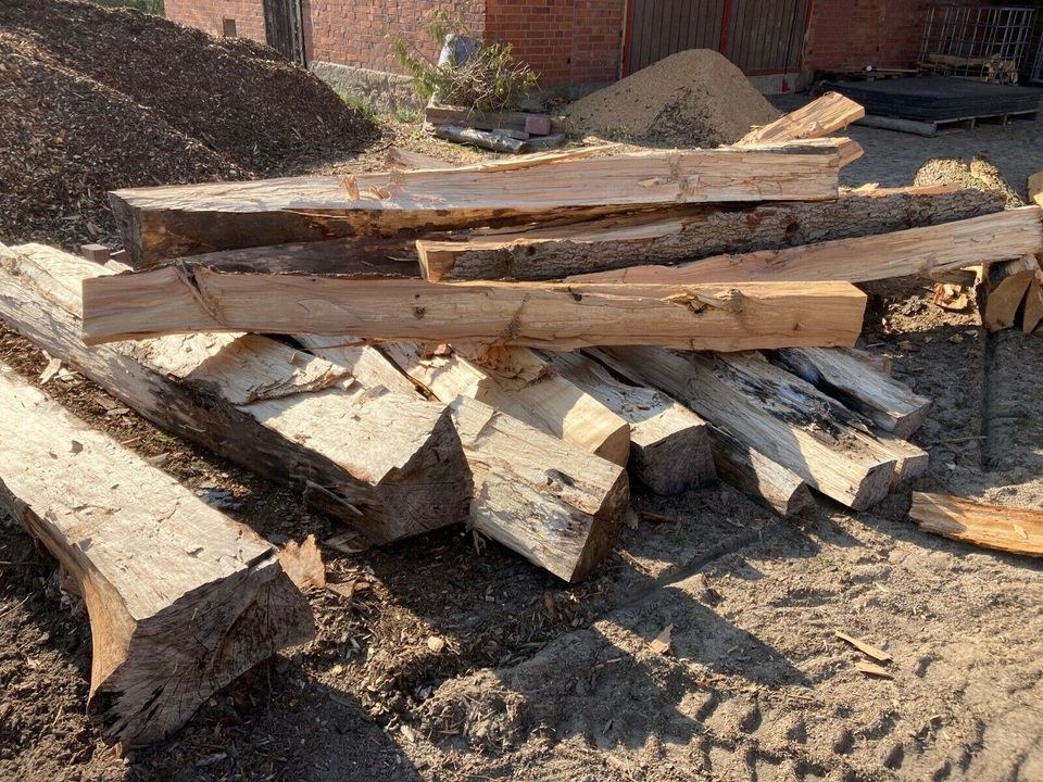 Kegelspalter Holzspalter Minibagger MS 01 mieten in Wrestedt – 3