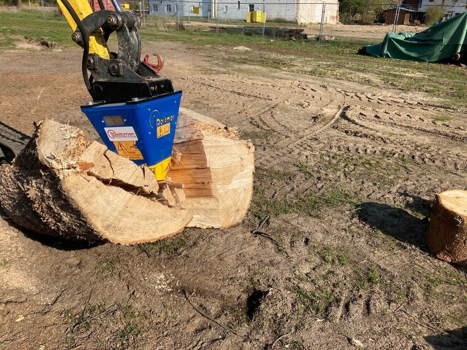 Kegelspalter Holzspalter Minibagger MS 01 mieten in Wrestedt – 4