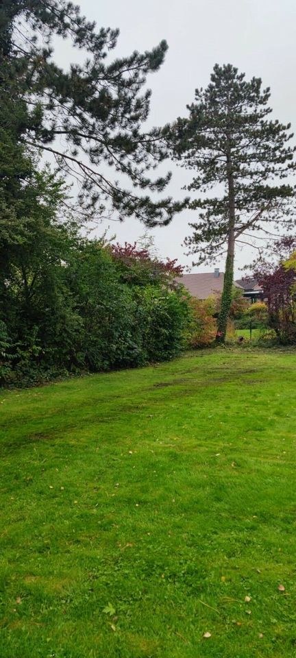 Bodenschutzplatte Fahrplatten Baustrasse mieten in Wrestedt – 3