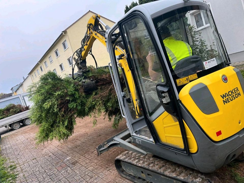 Minibagger Wacker Neuson ET20 DMS Greifer mieten in Aach – 2