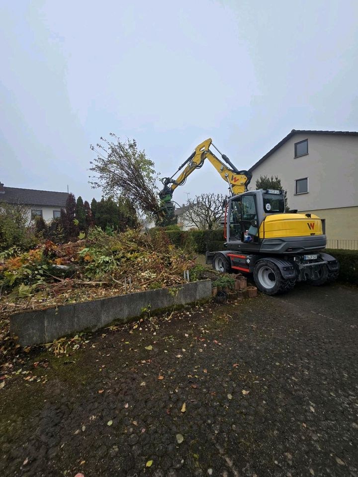 Fällgreifer MS08 MS03 mieten in Aach – für Erdarbeiten & Baustelle – 2