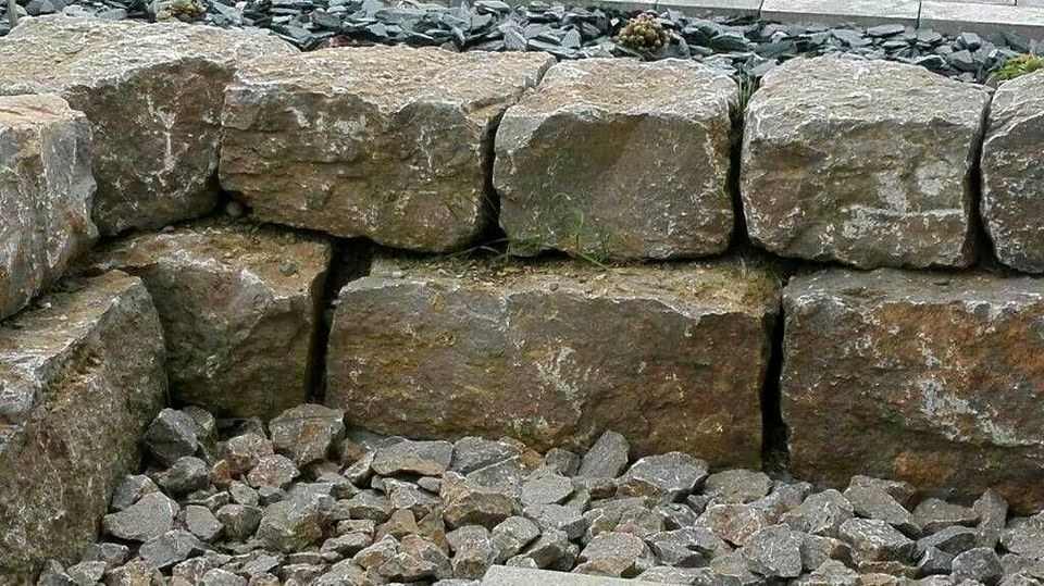 Gartenbau Minibagger Radlader mieten bei JF Baudienstleistungen – 4