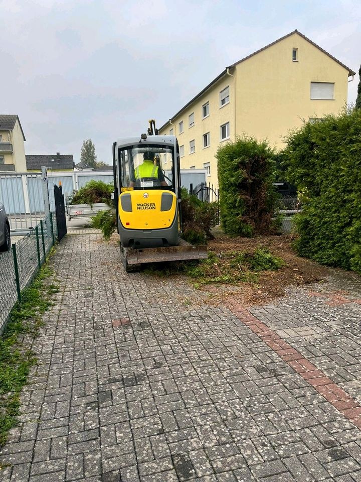 Minibagger Wacker Neuson ET20 DMS Greifer mieten in Aach – 3