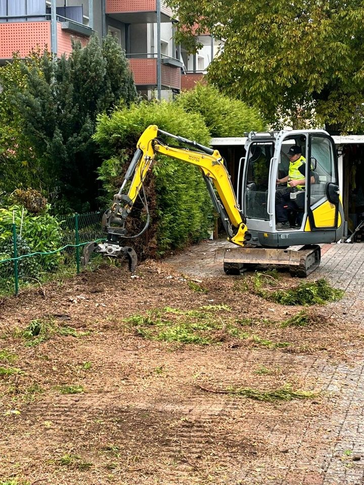 Minibagger Wacker Neuson ET20 DMS Greifer mieten in Aach