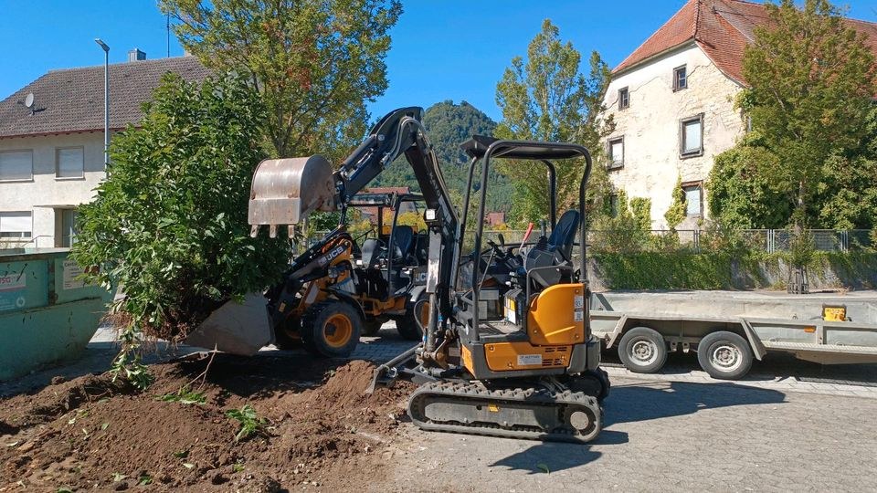 Minibagger Radlader Bagger Kettendumper mieten in Aach