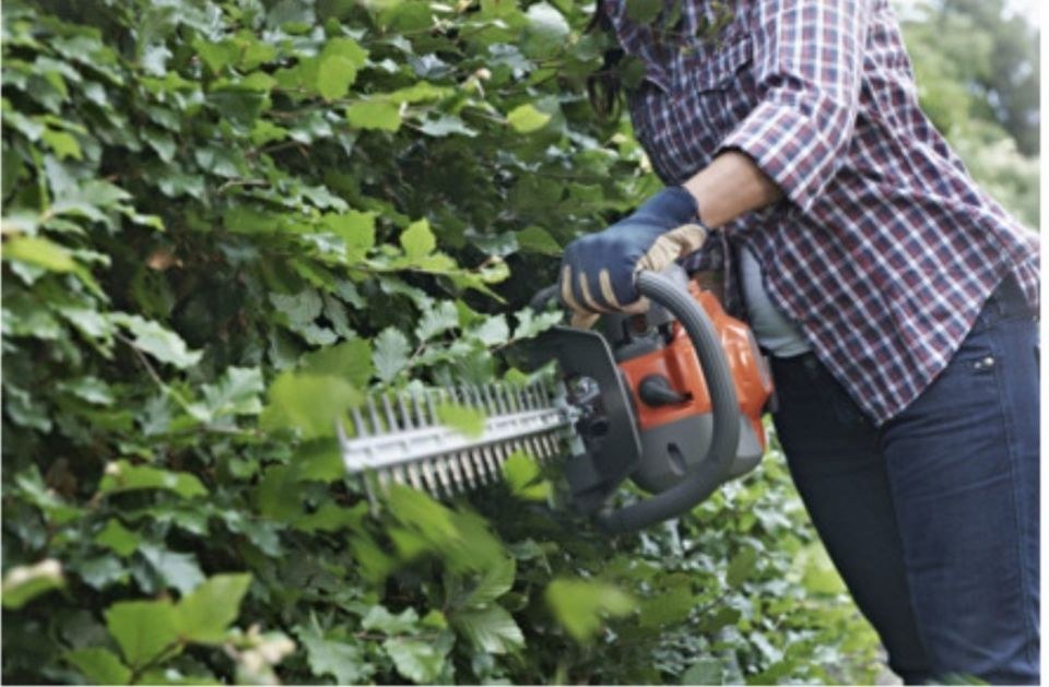 Heckenschere Garten Hecke Baum schneiden mieten bei Vermietung Jolk – 4