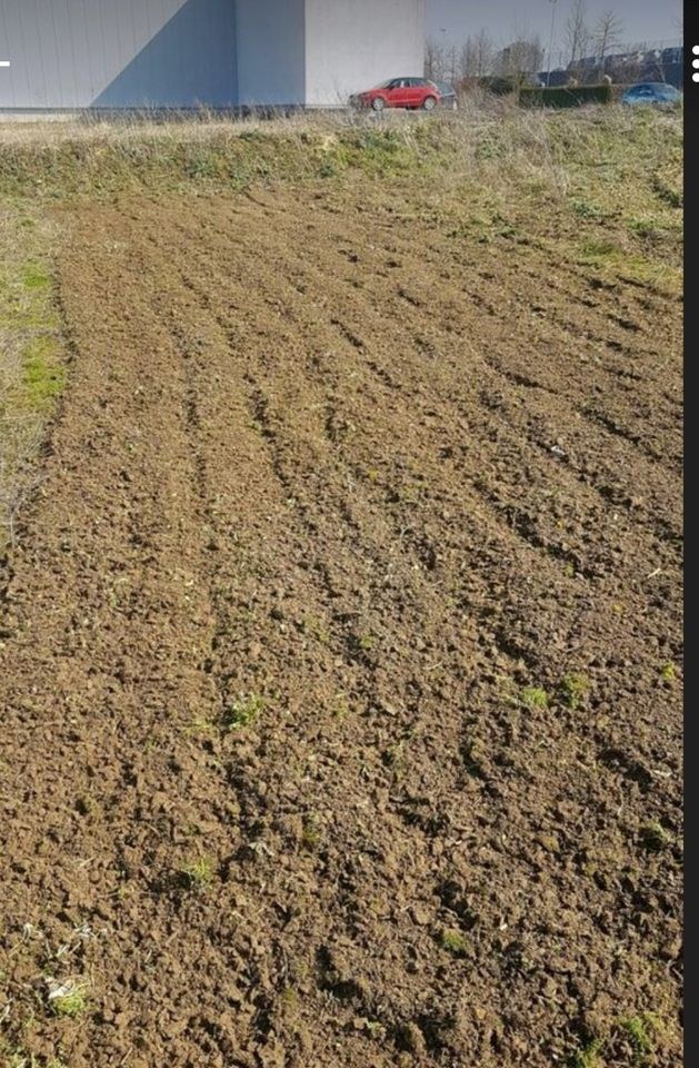 Bodenfräse Fräse Garten Rasen motorhacke mieten bei Vermietung Jolk – 4