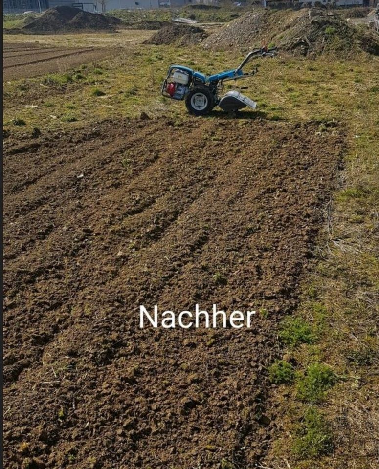 Bodenfräse Fräse Garten Rasen motorhacke mieten bei Vermietung Jolk – 3