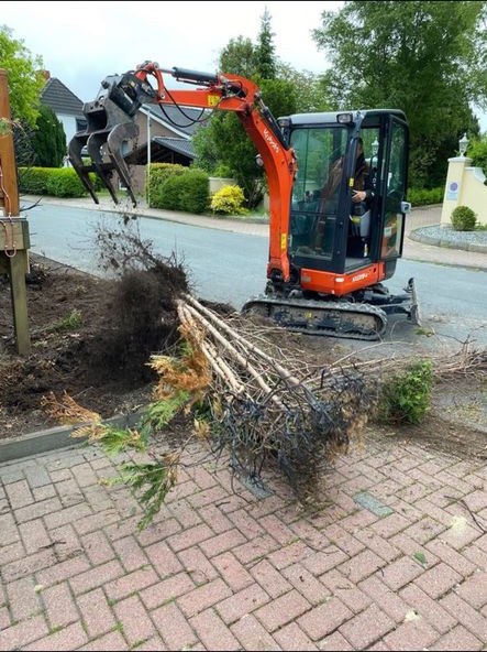 Minibagger Bagger gewerblich Kubota Wacker mieten in Abensberg – 4