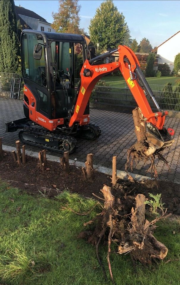 Bagger Hydraulikhammer Kubota Specht mieten bei LO Maschinenverleih – 4