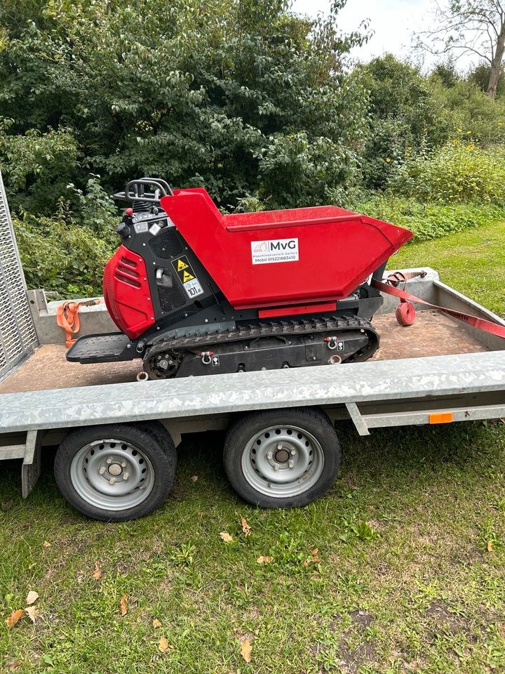Kettendumper Dumper Minibagger Erdarbeiten mieten in Pölitz – 3