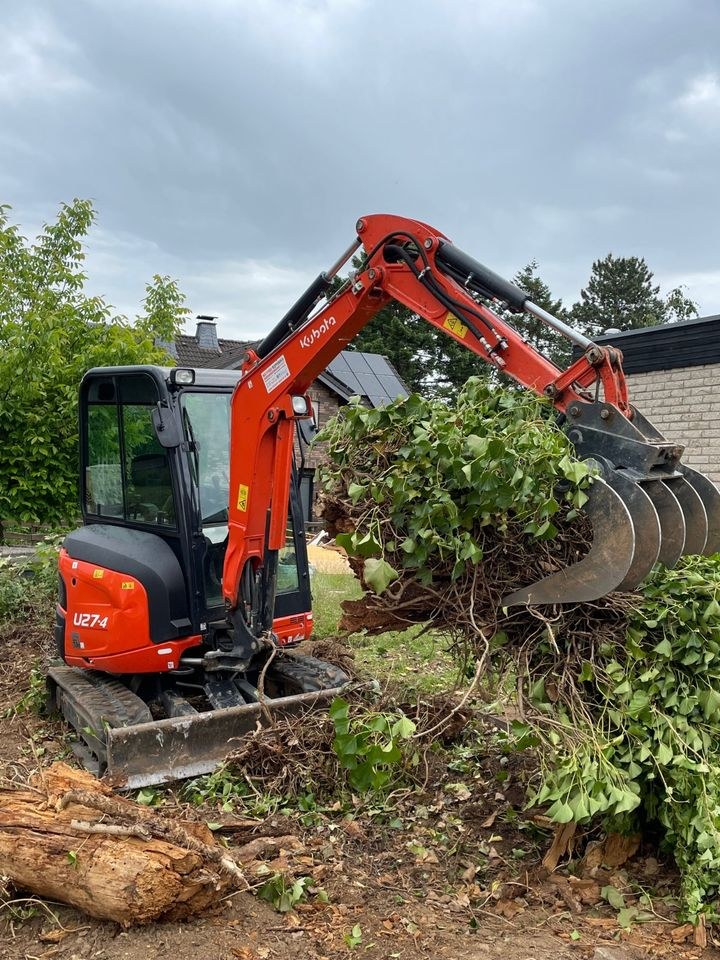 Bagger Kubota U27 2,7t mieten bei Mietpark Rupperath