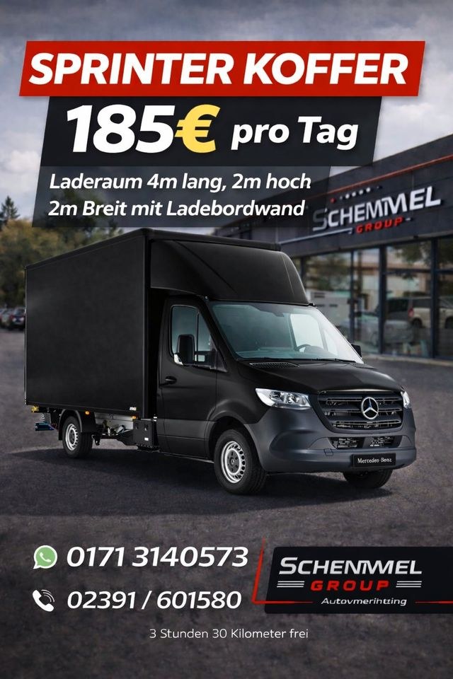 Transporter 9Sitzer PKW Anhänger LKW mieten bei DS Auto – 4