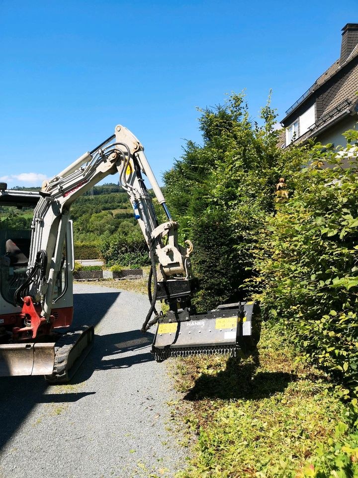 Bagger Minibagger MS03 Mulcher Olsberg mieten bei Stemper