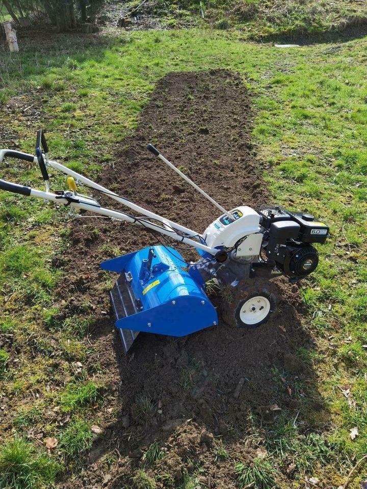 Gartenfräse Umkehrfräse Gemüsebeet mieten bei Stemper – 2