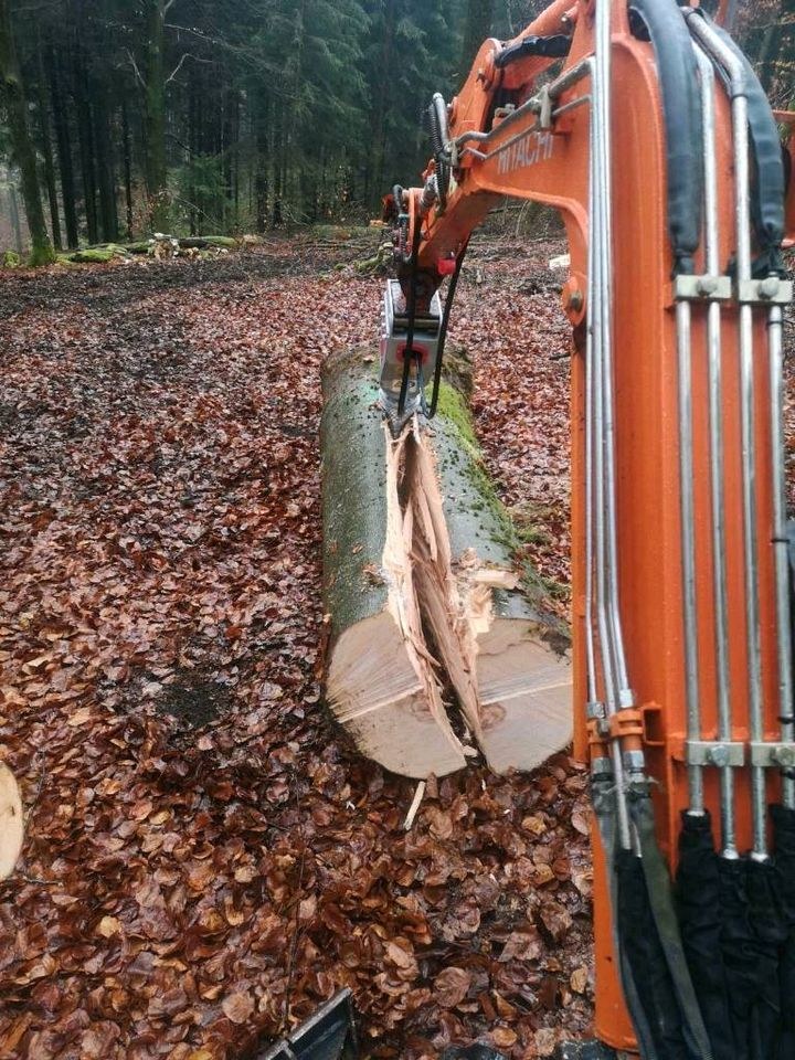 Kegelspalter Brennholz Stammholz Spalten mieten bei Stemper – 2