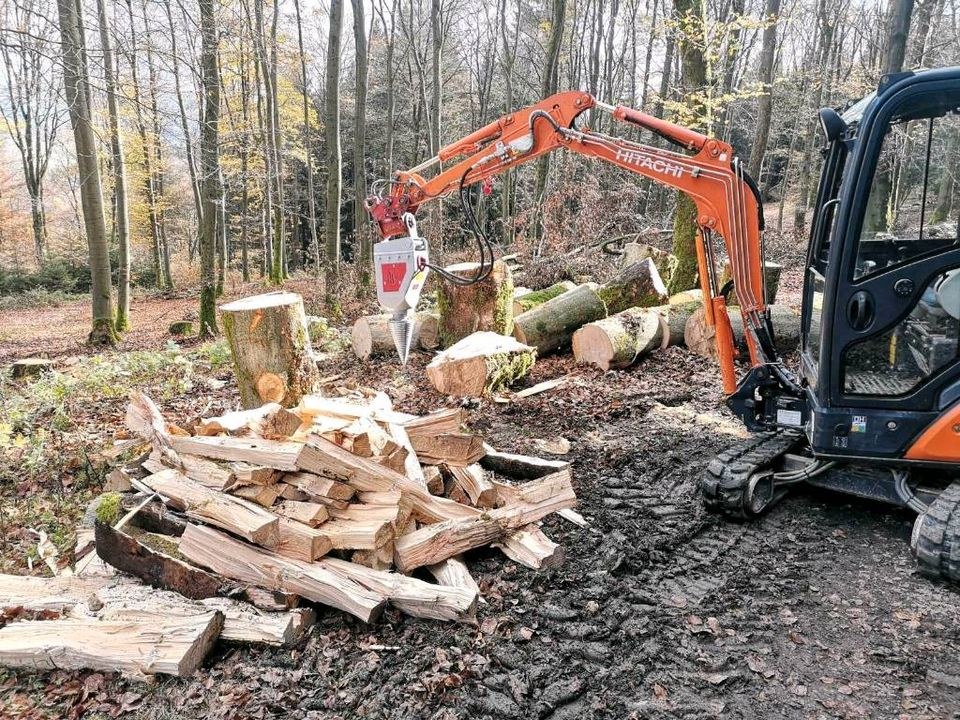 Kegelspalter Brennholz Stammholz Spalten mieten bei Stemper – 3