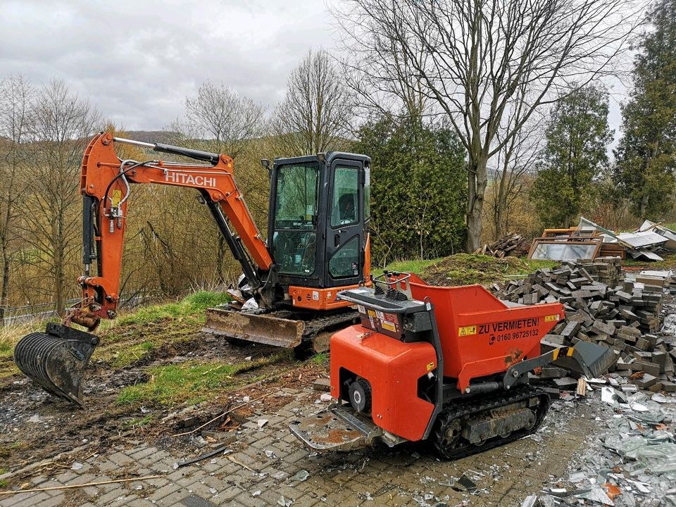 Kettendumper Minidumper Bagger mieten in Bestwig – für Aushub & Schutt – 2