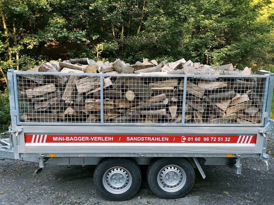 Plattform Kipper Dreiseitenkipper Anhänger mieten bei Stemper – 3