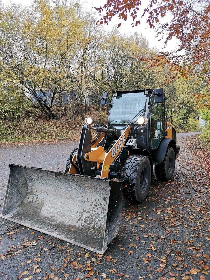 Radlader Bagger mieten bei Stemper – für Schüttgut & Paletten – 3