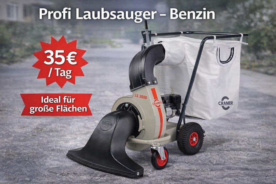 Profi Laubsauger Benzin große Flächen mieten bei TM Mietpark – 2