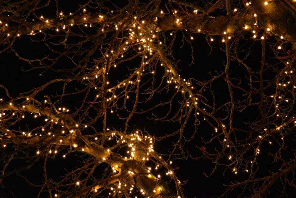 LED Lichterketten 54m warmweiß Deko mieten in Waging am See – 4