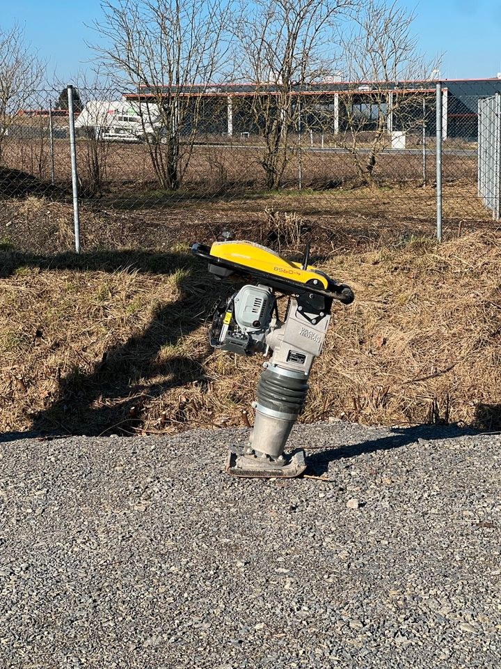 Stampfer Frosch Wacker mieten bei Waldis Mietpark – 4