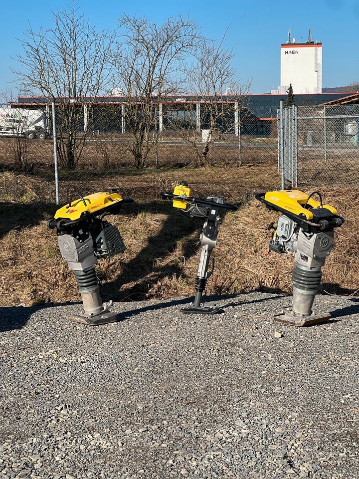 Stampfer Frosch Wacker mieten bei Waldis Mietpark