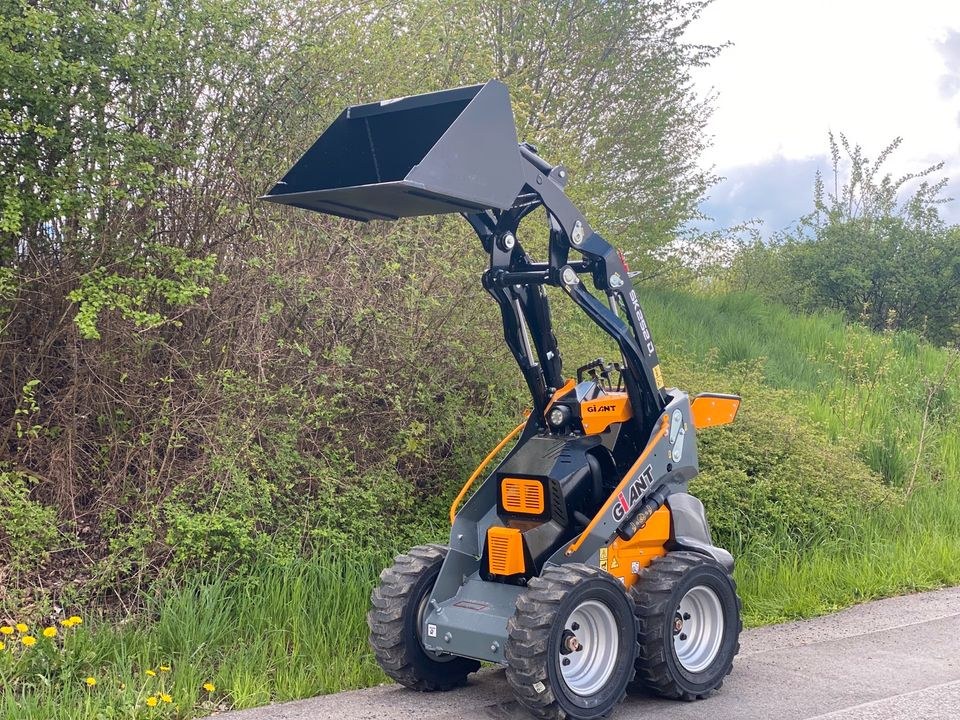 Miniradlader Giant SK 252D Radlader Skid mieten bei Waldis Mietpark – 2