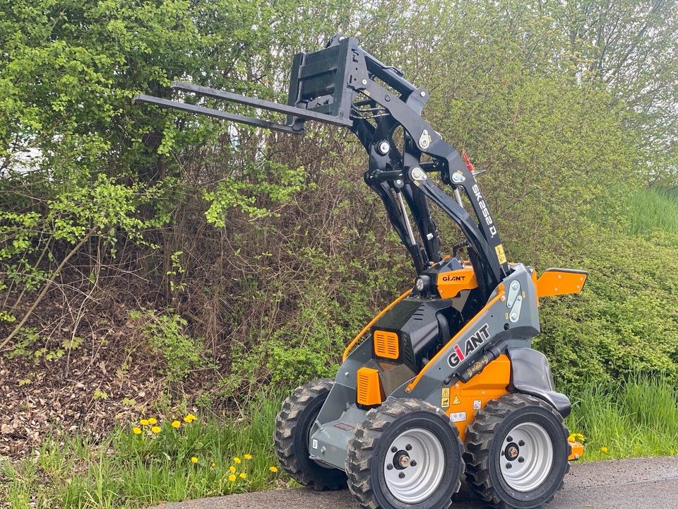 Miniradlader Giant SK 252D Radlader Skid mieten bei Waldis Mietpark – 4