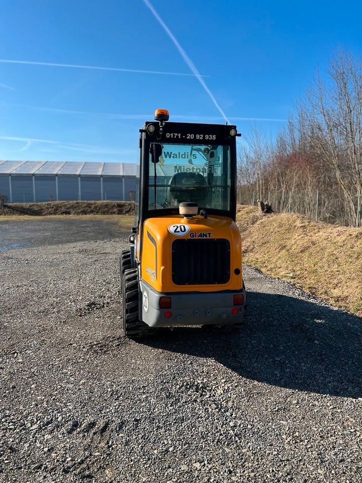 Radlader Giant 2500HD Extra Hoflader mieten bei Waldis Mietpark – 3