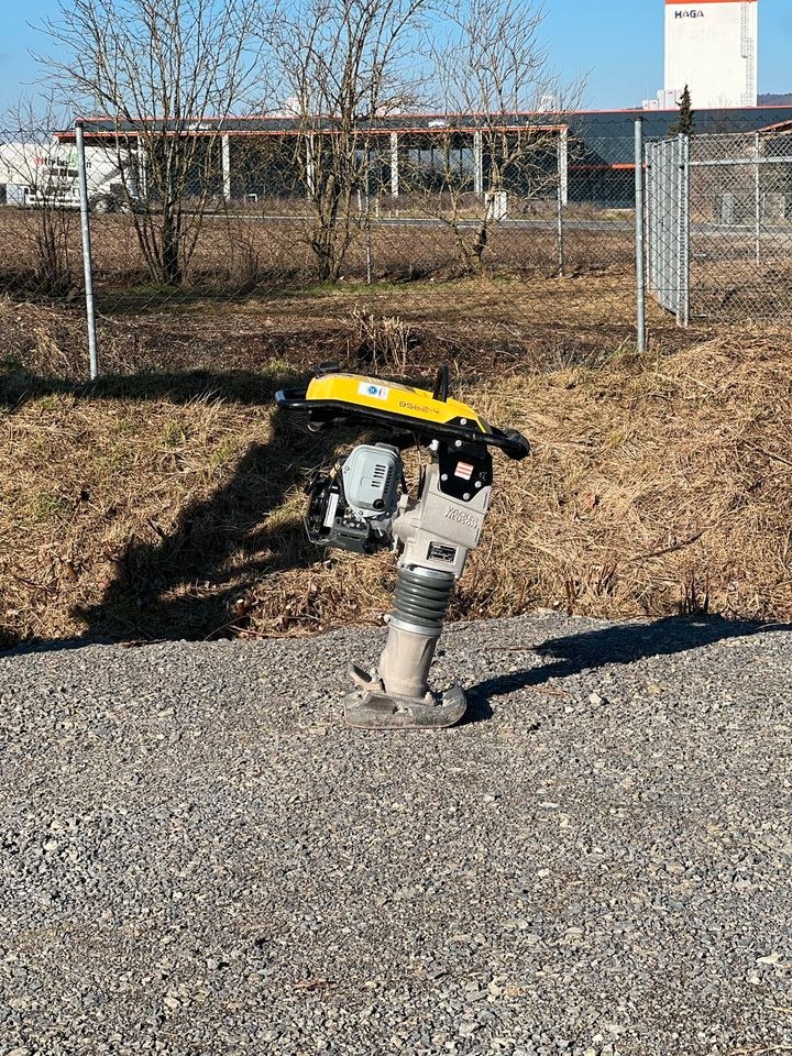 Stampfer Frosch Wacker mieten bei Waldis Mietpark – 2