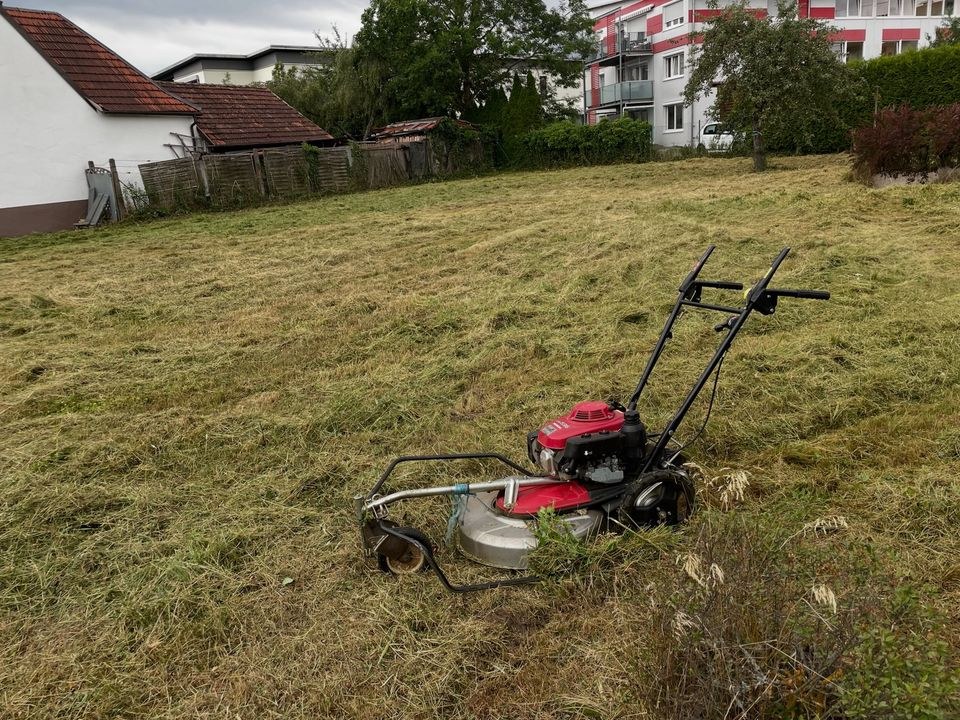 Honda UM536 Hochgrasmäher Wiesenmäher Mäher mieten in Geislingen – 4