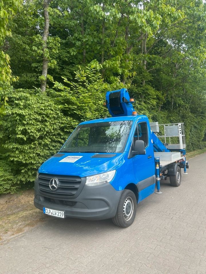 Sprinterarbeitsbühne Ruthmann 22 m 27 mieten in Garrel – 3