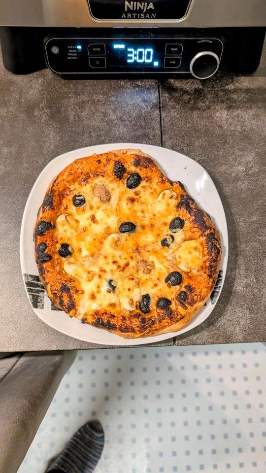 Saugrill Pizzaofen Grill mieten bei Jan-Christoph Bauer – 2