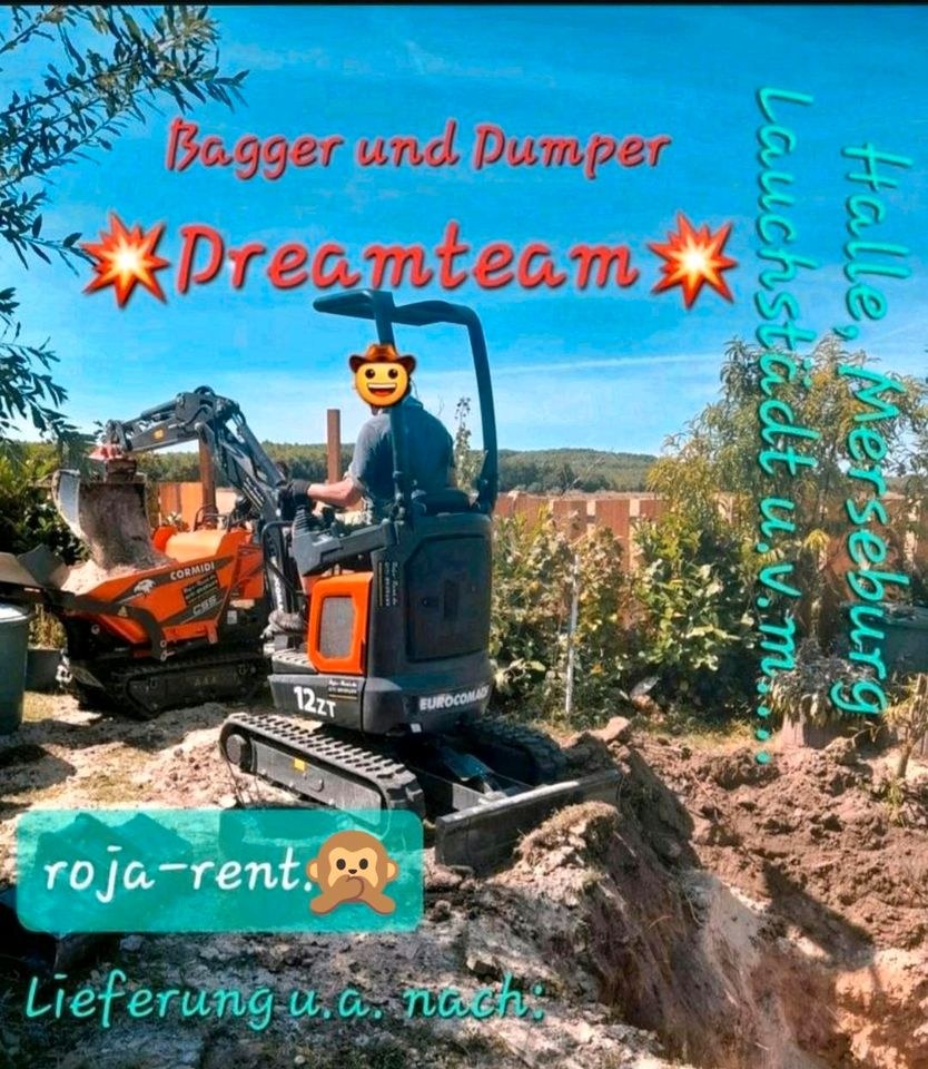 Radlader inklusive MwSt Minibagger mieten in Teutschenthal – 3