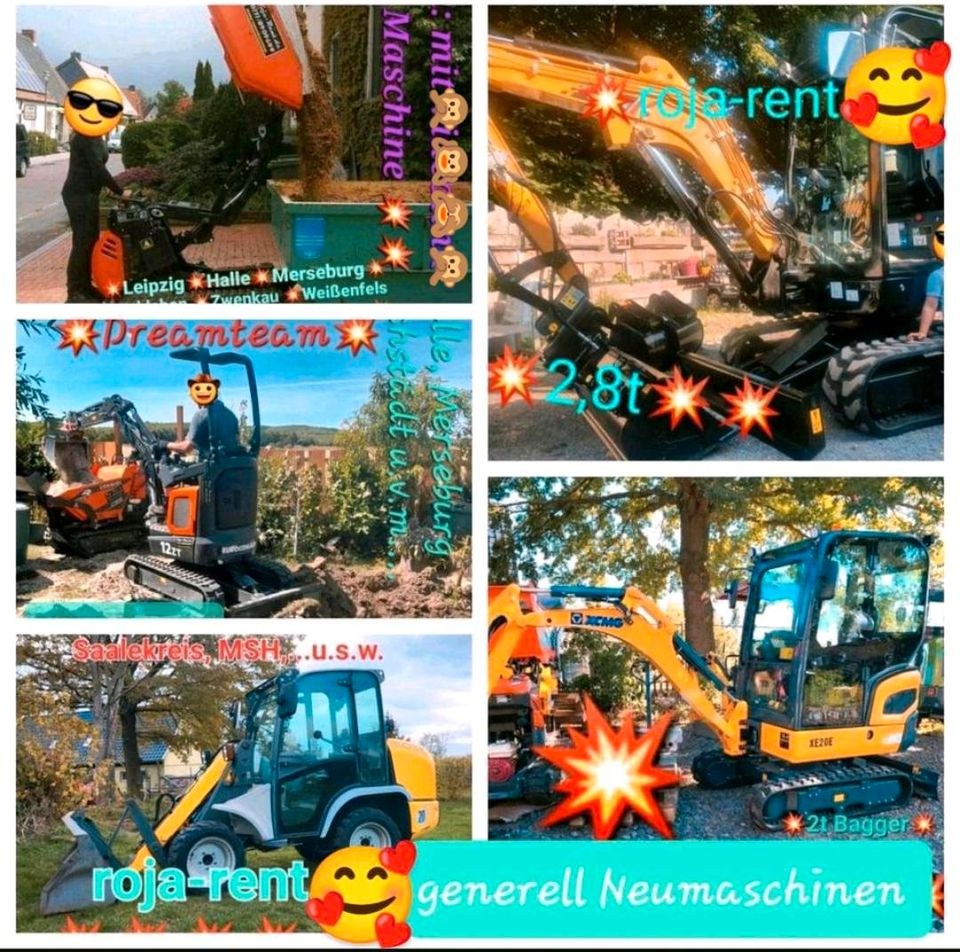 Radlader inklusive MwSt Minibagger mieten in Teutschenthal – 4
