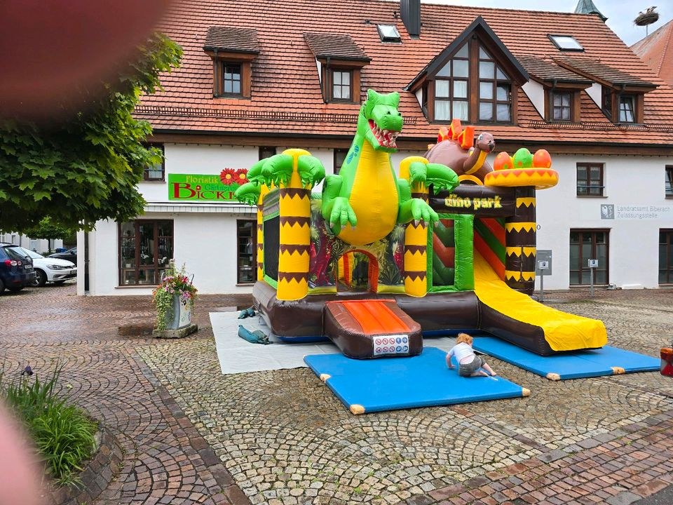 Hüpfburg Dinowelt mieten bei TA-Hoppsala – Hüpfspaß für jede Feier – 2