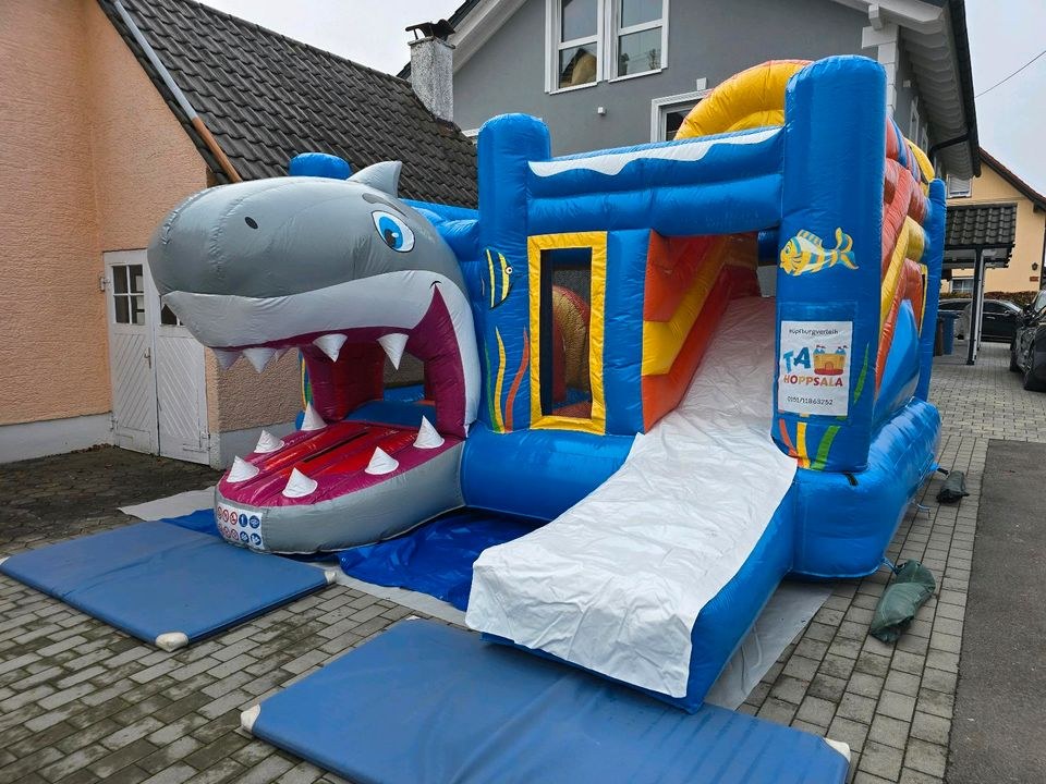 Hüpfburg Hai mieten bei TA-Hoppsala – Hüpfspaß für jede Feier – 3