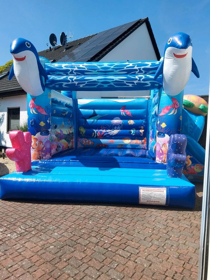 Hüpfburg Delfin Rutsche mieten bei Eventzubehör Mey
