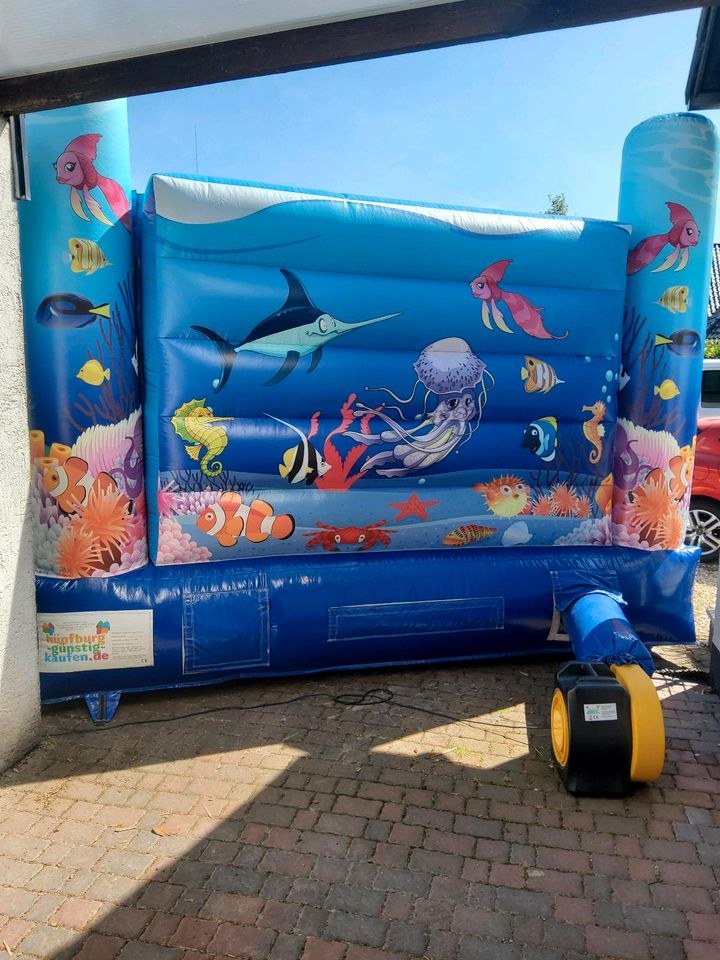 Hüpfburg Delfin Rutsche mieten bei Eventzubehör Mey – 3