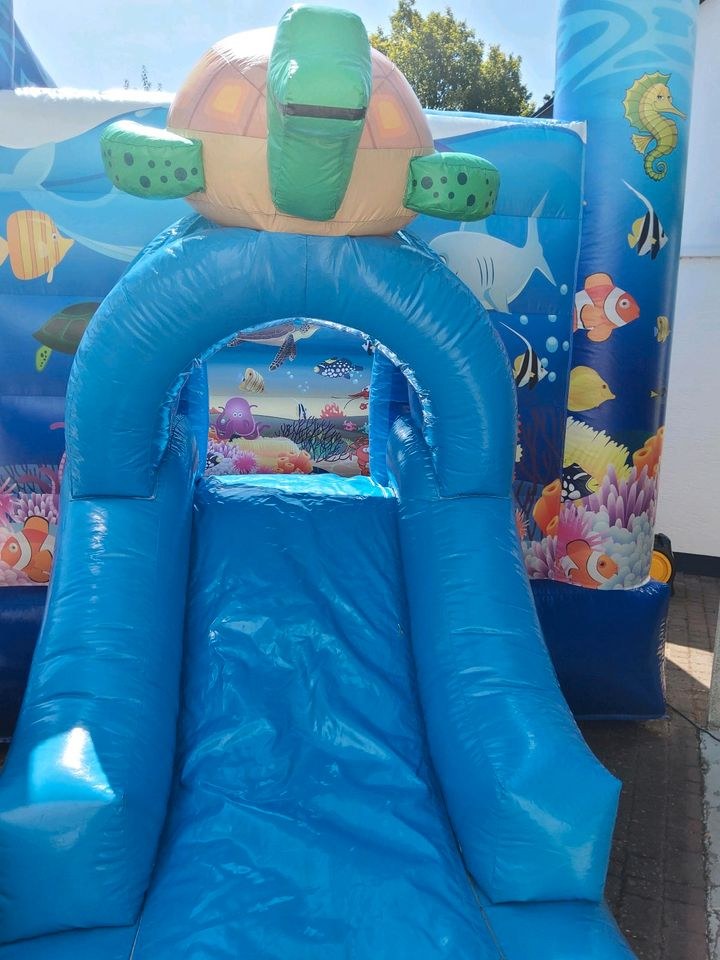 Hüpfburg Delfin Rutsche mieten bei Eventzubehör Mey – 2