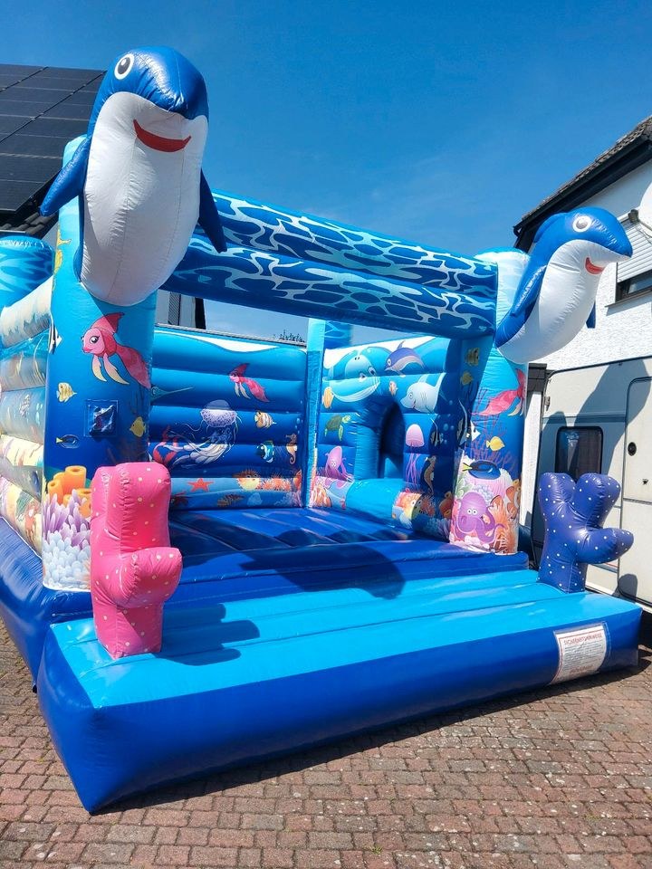 Hüpfburg Delfin Rutsche mieten bei Eventzubehör Mey – 4