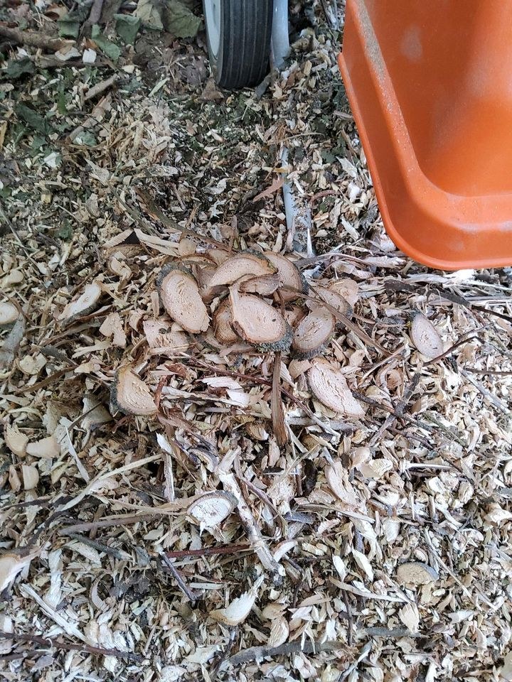 Holz Hächsler mieten bei Eventzubehör Mey – das Besondere – 3
