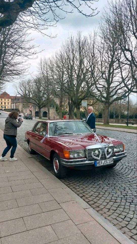 Deko Hochzeitskleid mieten in Niederaula – für die Hochzeit – 4